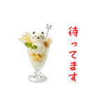 ニャンデー、ひんやり一言（個別スタンプ：16）