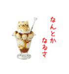ニャンデー、ひんやり一言（個別スタンプ：19）