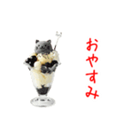 ニャンデー、ひんやり一言（個別スタンプ：24）