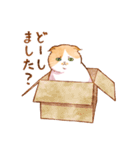 毎日使える☆猫のるぅさんスタンプ【敬語】（個別スタンプ：1）