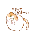 毎日使える☆猫のるぅさんスタンプ【敬語】（個別スタンプ：2）