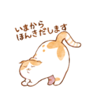 毎日使える☆猫のるぅさんスタンプ【敬語】（個別スタンプ：5）