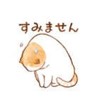 毎日使える☆猫のるぅさんスタンプ【敬語】（個別スタンプ：6）
