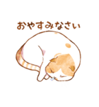 毎日使える☆猫のるぅさんスタンプ【敬語】（個別スタンプ：14）