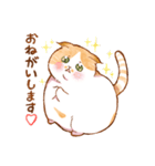 毎日使える☆猫のるぅさんスタンプ【敬語】（個別スタンプ：17）
