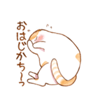 毎日使える☆猫のるぅさんスタンプ【敬語】（個別スタンプ：24）