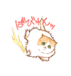 毎日使える☆猫のるぅさんスタンプ【敬語】（個別スタンプ：31）
