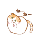 毎日使える☆猫のるぅさんスタンプ（個別スタンプ：2）