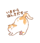 毎日使える☆猫のるぅさんスタンプ（個別スタンプ：5）