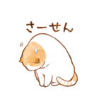 毎日使える☆猫のるぅさんスタンプ（個別スタンプ：6）