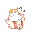 毎日使える☆猫のるぅさんスタンプ（個別スタンプ：8）