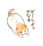 毎日使える☆猫のるぅさんスタンプ（個別スタンプ：15）