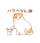 毎日使える☆猫のるぅさんスタンプ（個別スタンプ：16）