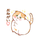 毎日使える☆猫のるぅさんスタンプ（個別スタンプ：17）