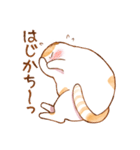 毎日使える☆猫のるぅさんスタンプ（個別スタンプ：24）
