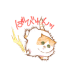 毎日使える☆猫のるぅさんスタンプ（個別スタンプ：31）