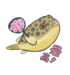 ぷくぷく！淡水フグたち（個別スタンプ：10）