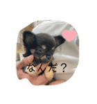 小林ななデイズ（個別スタンプ：1）
