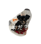 小林ななデイズ（個別スタンプ：8）