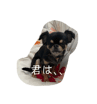 小林ななデイズ（個別スタンプ：9）
