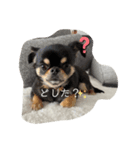 小林ななデイズ（個別スタンプ：13）