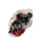小林ななデイズ（個別スタンプ：15）