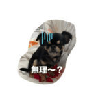 小林ななデイズ（個別スタンプ：16）