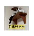 モーモー猫（個別スタンプ：12）