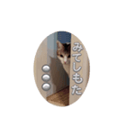私の備忘録（個別スタンプ：1）