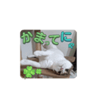 私の備忘録（個別スタンプ：3）