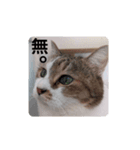 私の備忘録（個別スタンプ：5）