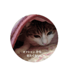 私の備忘録（個別スタンプ：7）