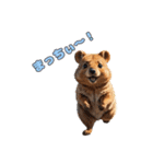 愛らしいクオッカ2（個別スタンプ：16）