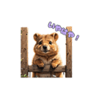 愛らしいクオッカ2（個別スタンプ：21）