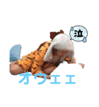 エンジェルダイヤ スタンプ（個別スタンプ：7）