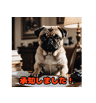 ビジネスパグの働く日常（個別スタンプ：9）