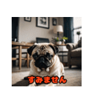 ビジネスパグの働く日常（個別スタンプ：12）