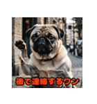 ビジネスパグの働く日常（個別スタンプ：15）
