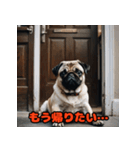 ビジネスパグの働く日常（個別スタンプ：24）