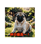 ビジネスパグの働く日常（個別スタンプ：40）