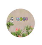 鳥とーり（個別スタンプ：4）