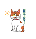 保護猫タマと仲間たち（個別スタンプ：1）