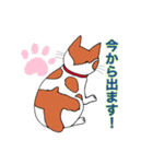 保護猫タマと仲間たち（個別スタンプ：5）