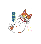 保護猫タマと仲間たち（個別スタンプ：7）