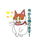 保護猫タマと仲間たち（個別スタンプ：9）