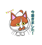 保護猫タマと仲間たち（個別スタンプ：12）