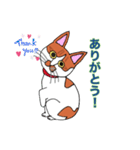 保護猫タマと仲間たち（個別スタンプ：16）