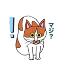 保護猫タマと仲間たち（個別スタンプ：19）