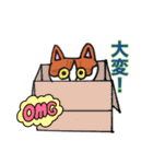 保護猫タマと仲間たち（個別スタンプ：20）