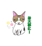 保護猫タマと仲間たち（個別スタンプ：25）